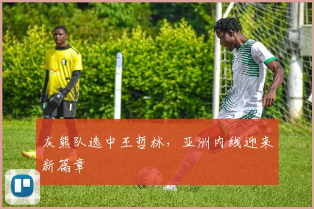 灰熊队选中王哲林，亚洲内线迎来新篇章