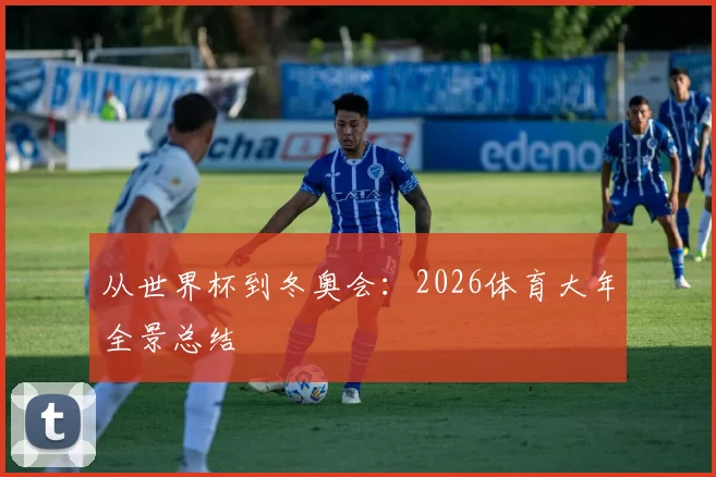 从世界杯到冬奥会：2026体育大年全景总结